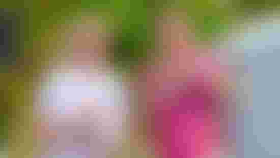 vyber_beh_MOU_2025 (73)
